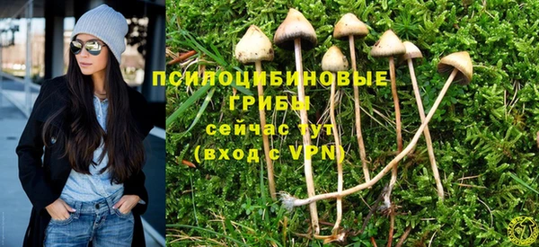 не бодяженный Аркадак