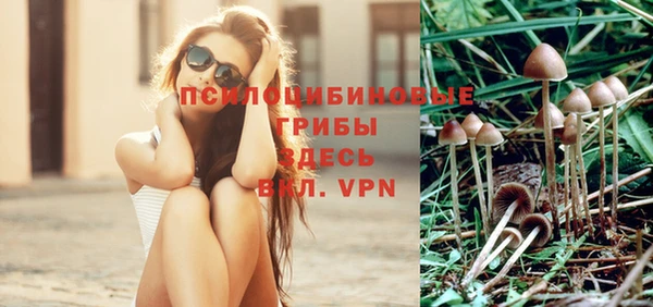 ешки Абдулино