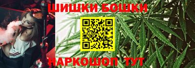шишки Лесосибирск