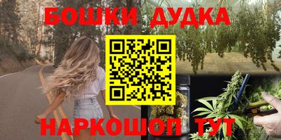 шишки Лесосибирск