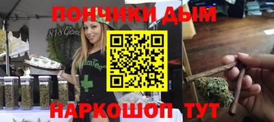 шишки Лесосибирск