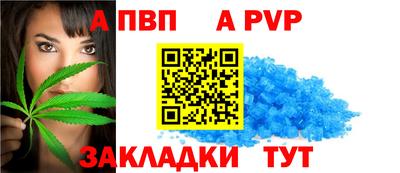 шишки Лесосибирск
