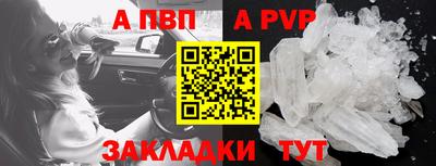 шишки Лесосибирск
