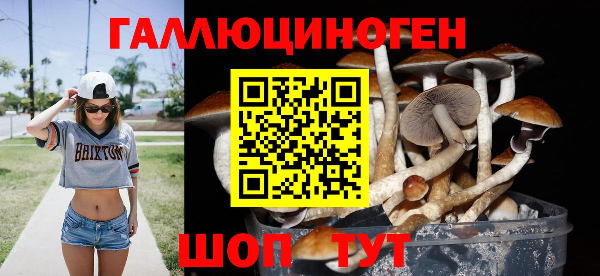 Галлюциногенные грибы Psilocybe Кемерово