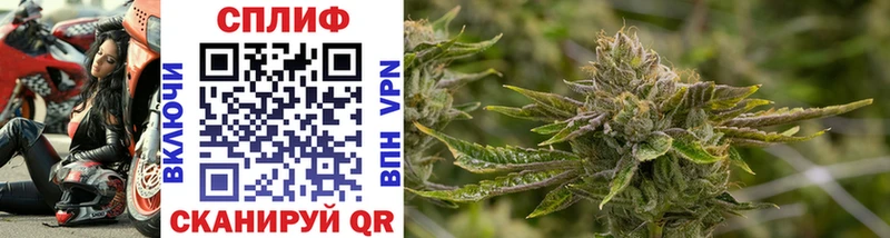 Каннабис OG Kush  Кемерово 